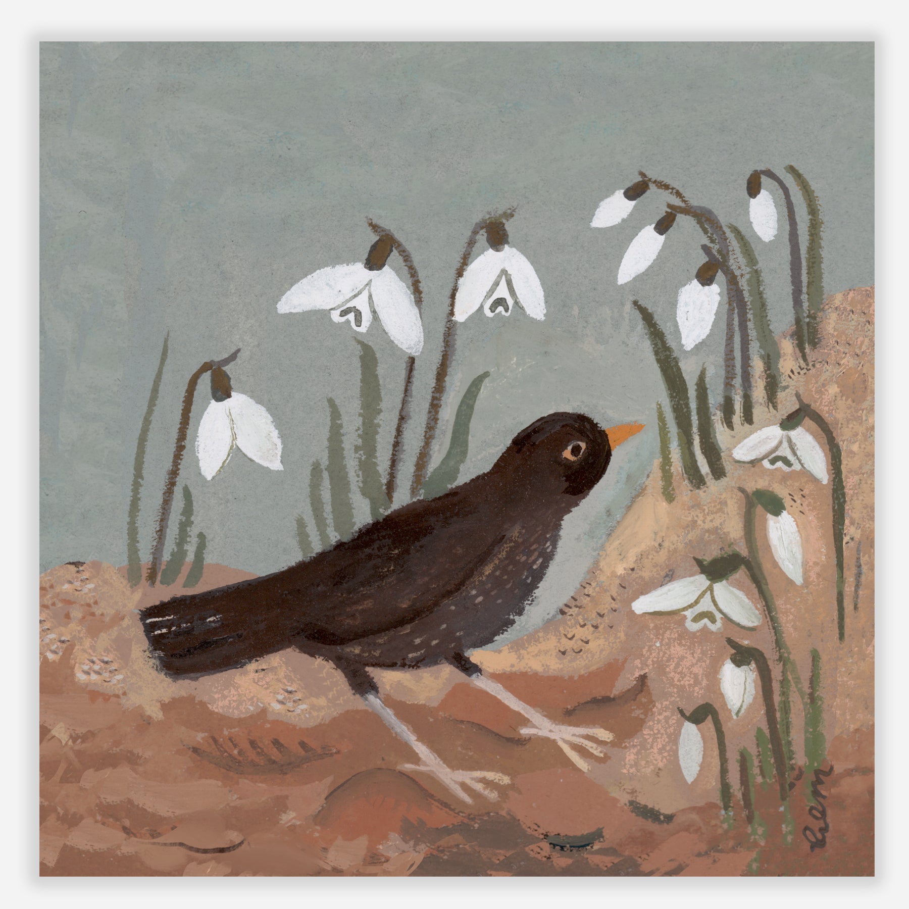 Blackbird and Snowdrop Print 20x20