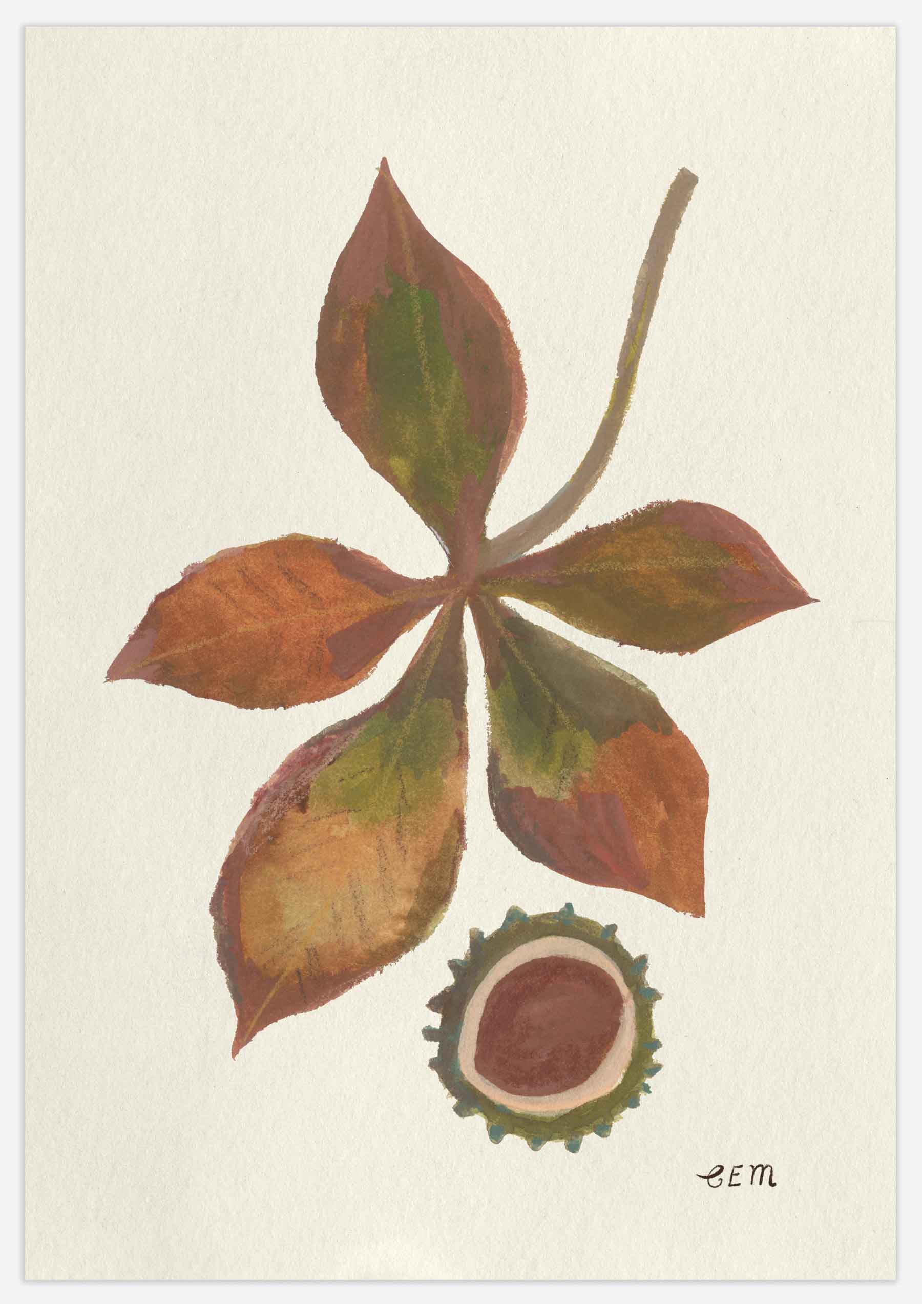 Conker and Leaf Print