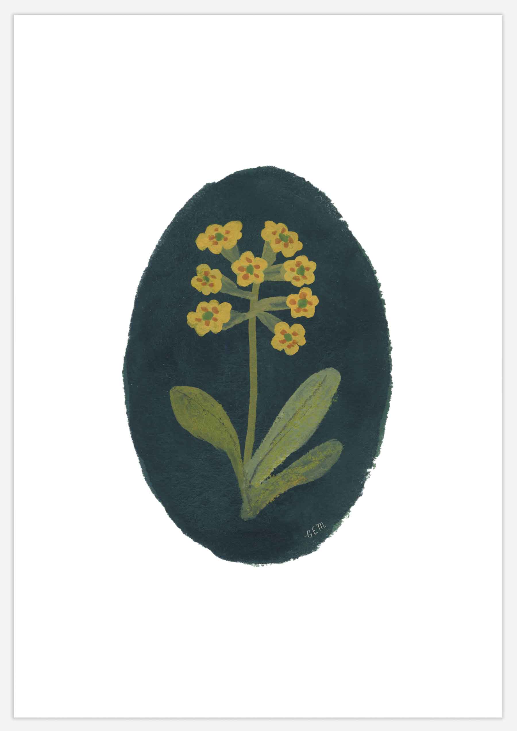 Cowslip II Print