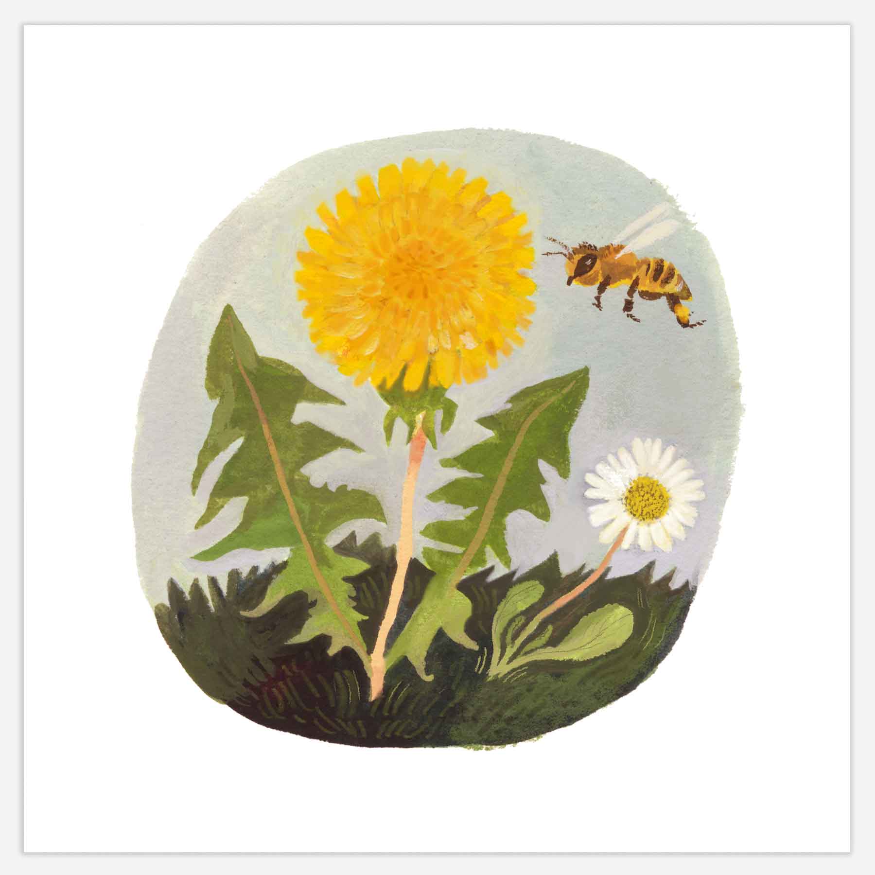 Dandelion and Daisy Print