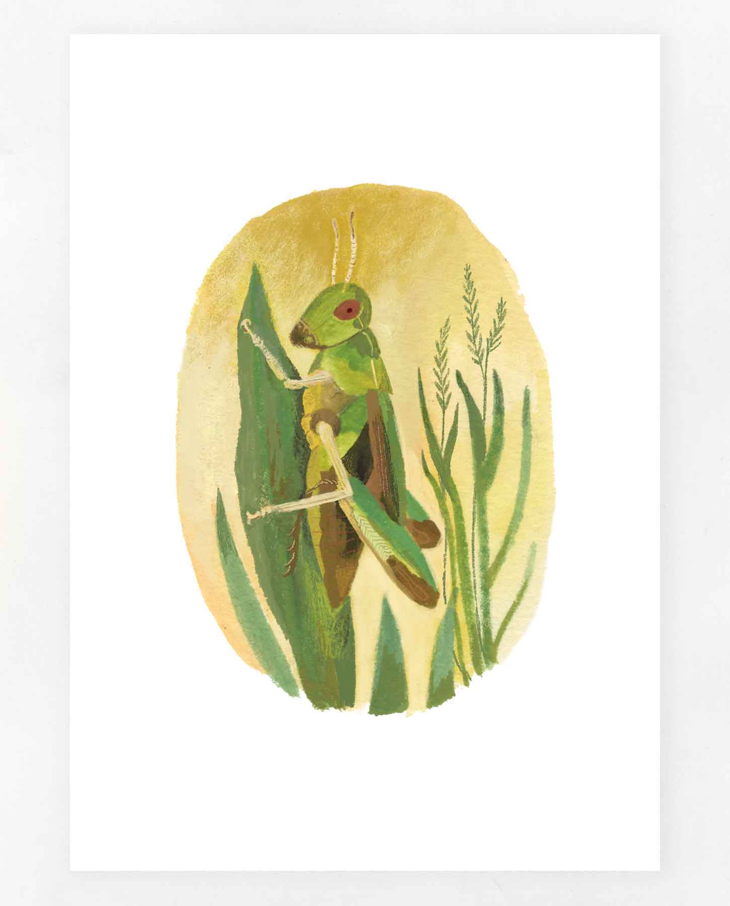 Grasshopper Print