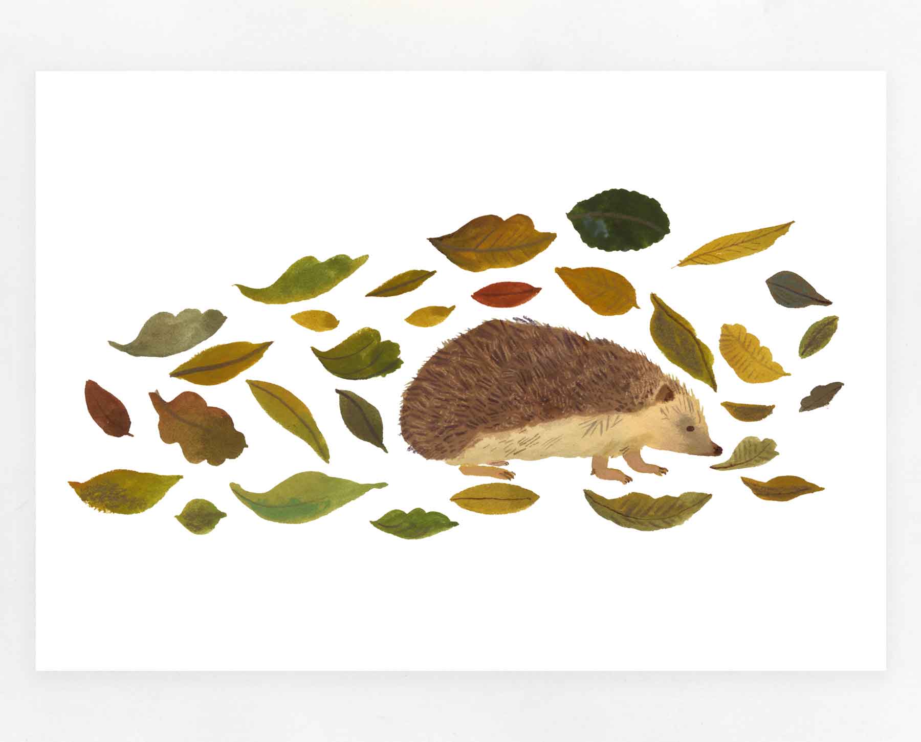 Hedgehog print