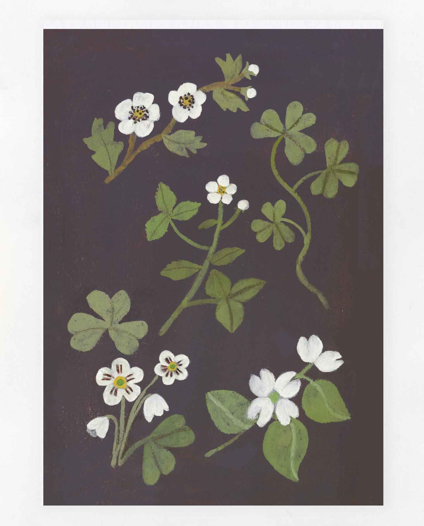 Spring Sprigs Print