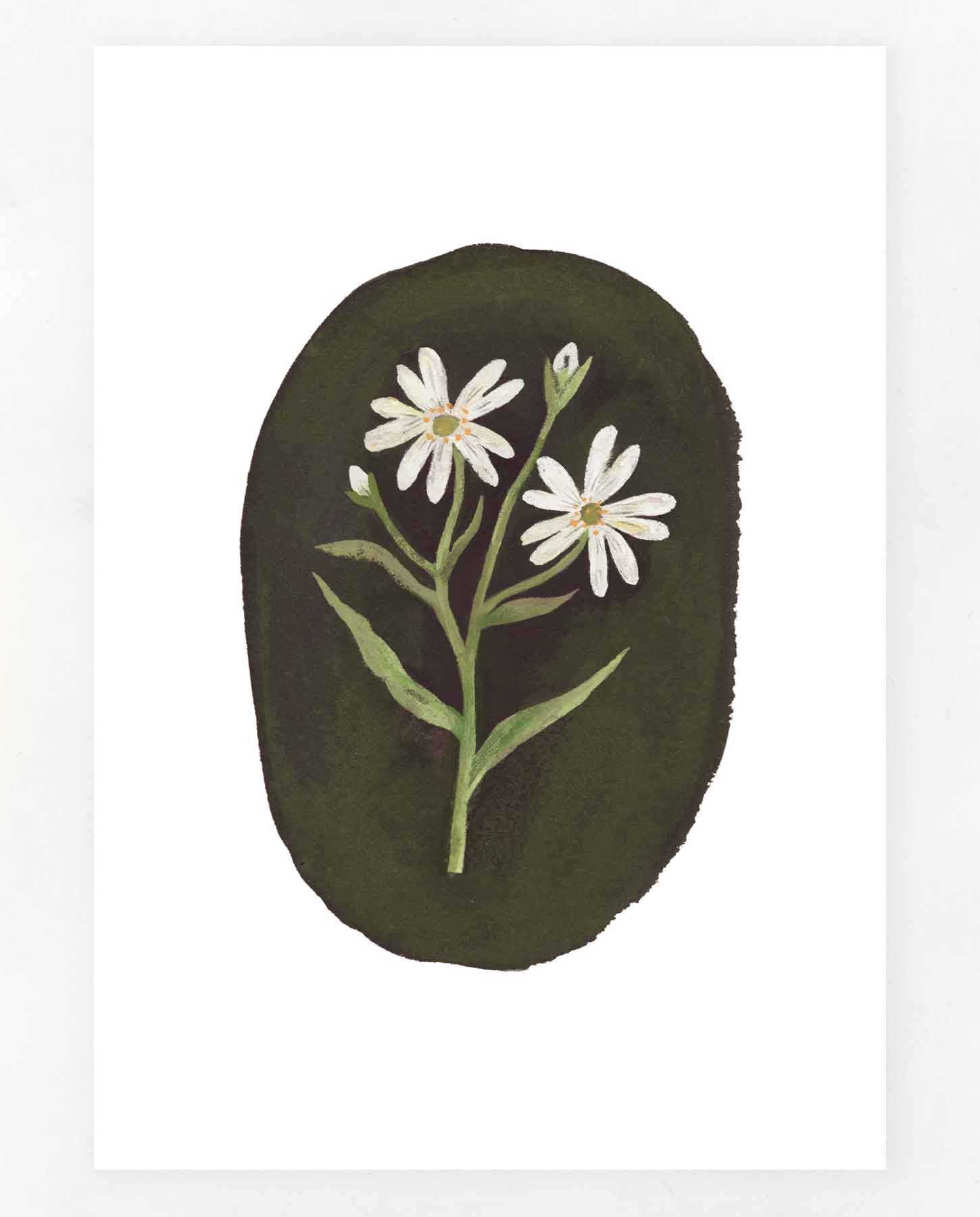 Stitchwort Print