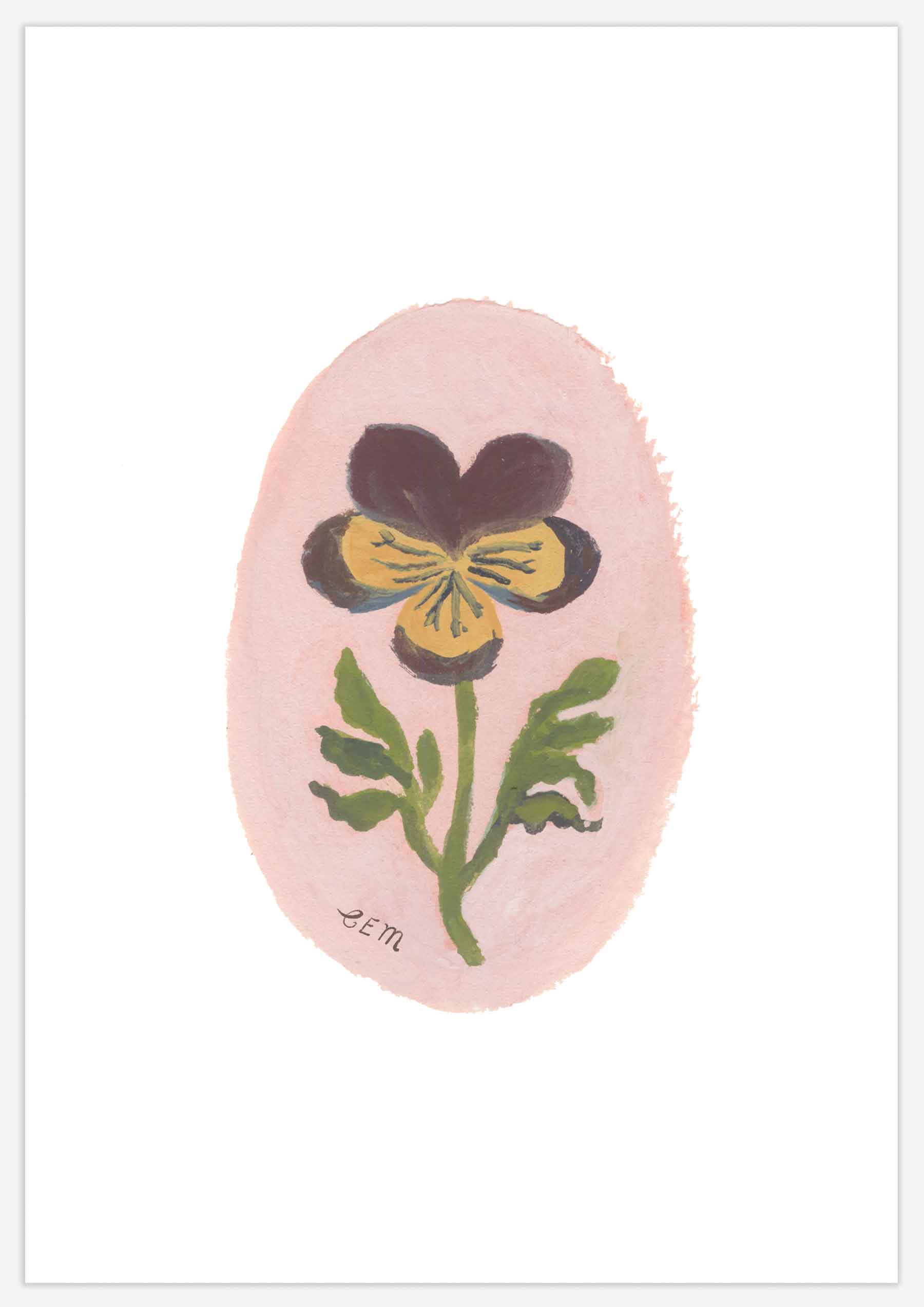 Wild Pansy II Print