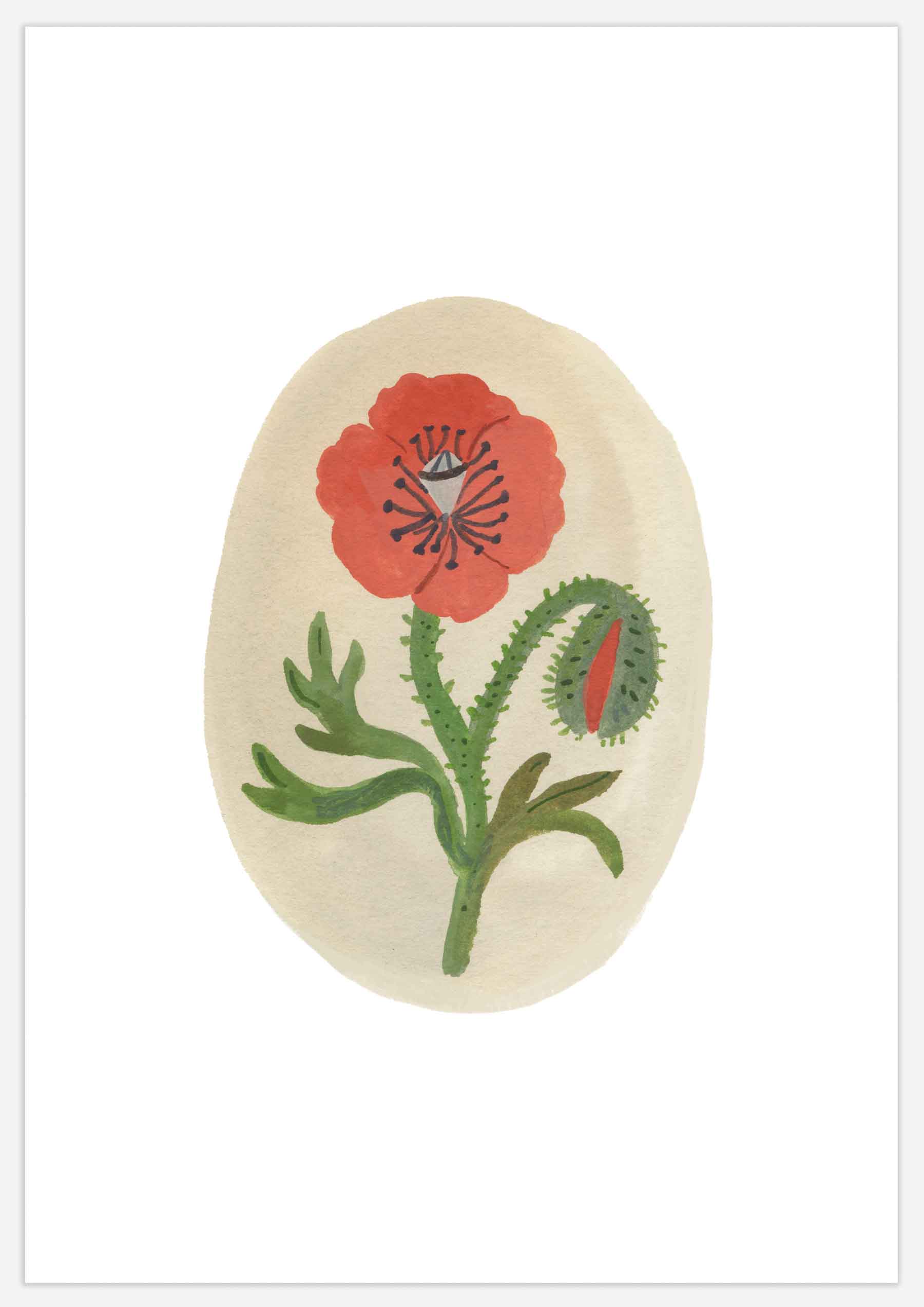 Wild Poppy II Print