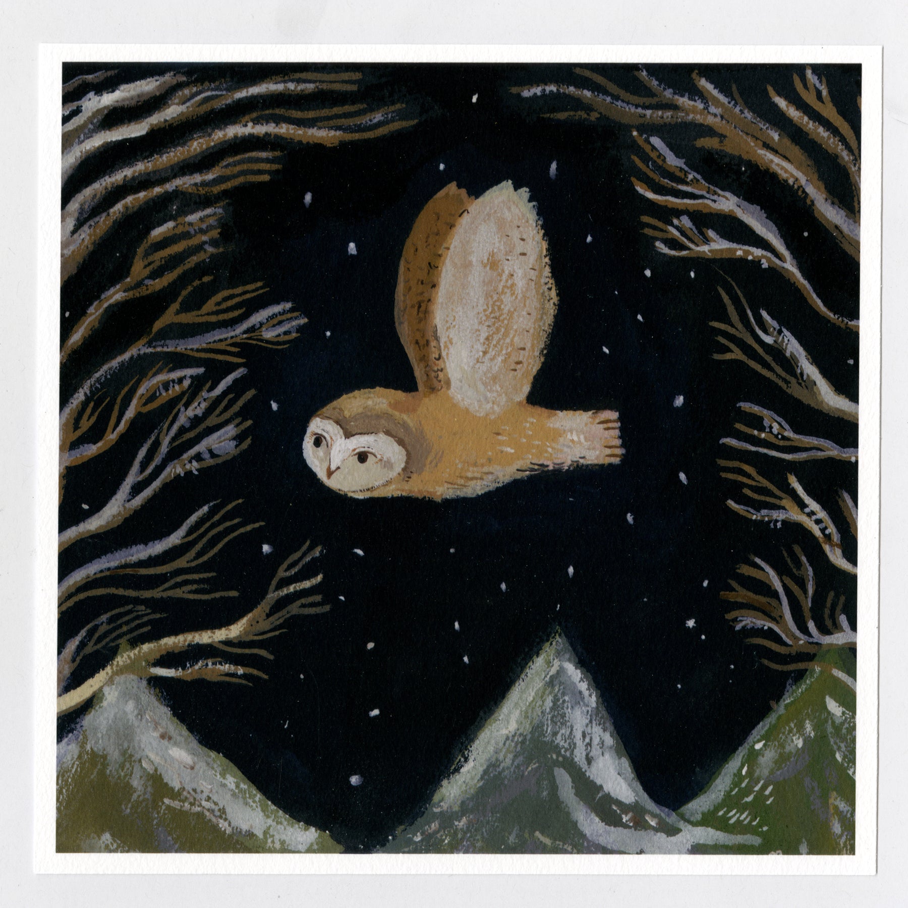 Barn Owl 20x20 cm print