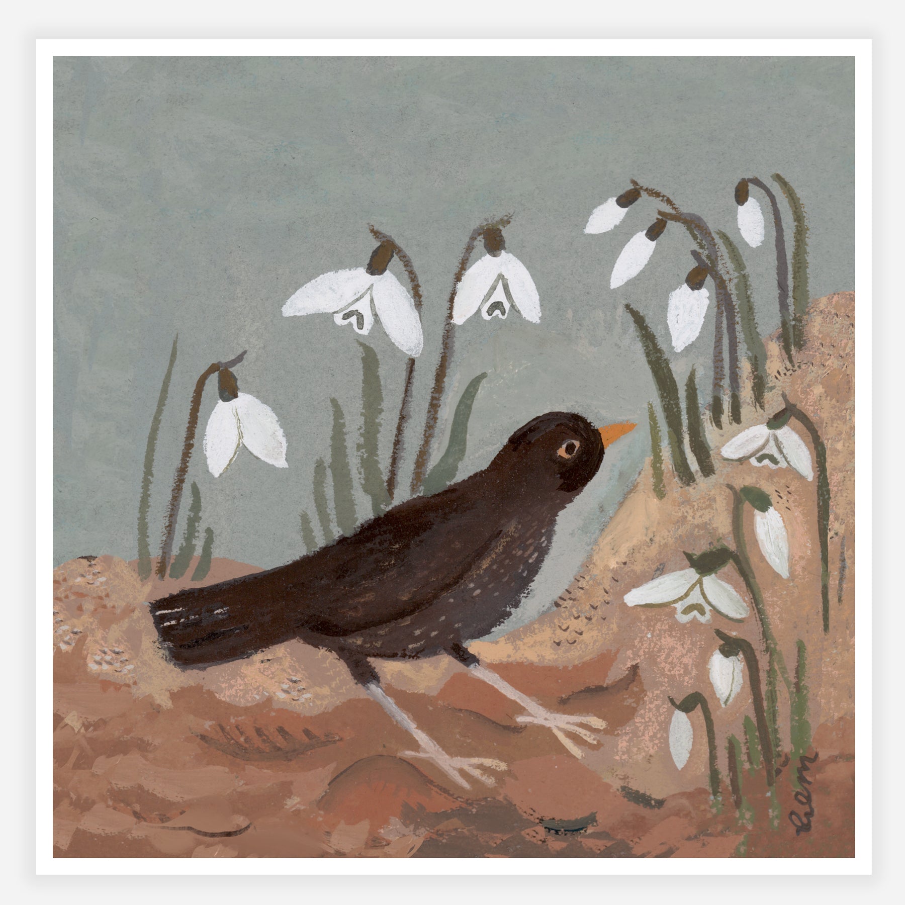 Blackbird and Snowdrop Print 20x20
