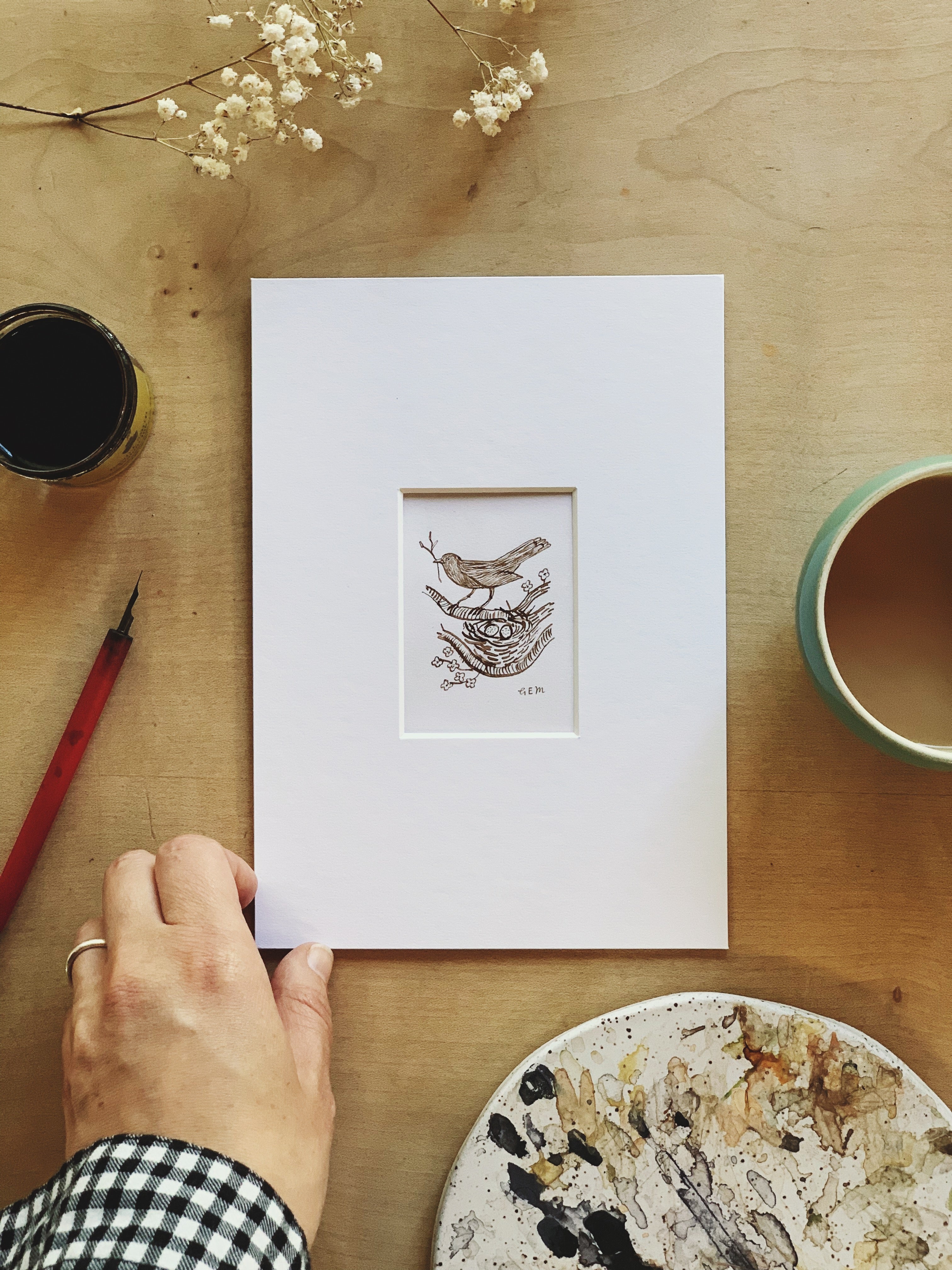 Blackbird builds a nest original ink drawing
