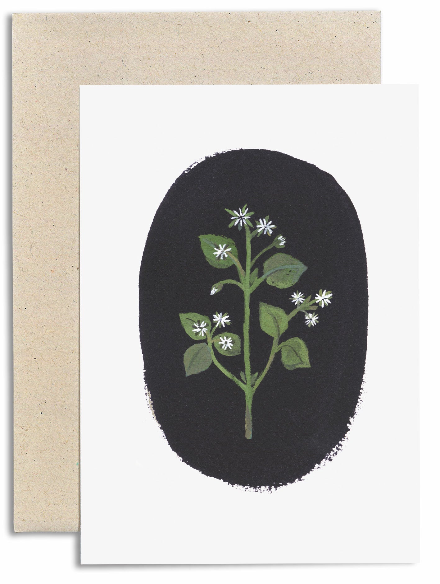 Chickweed Card