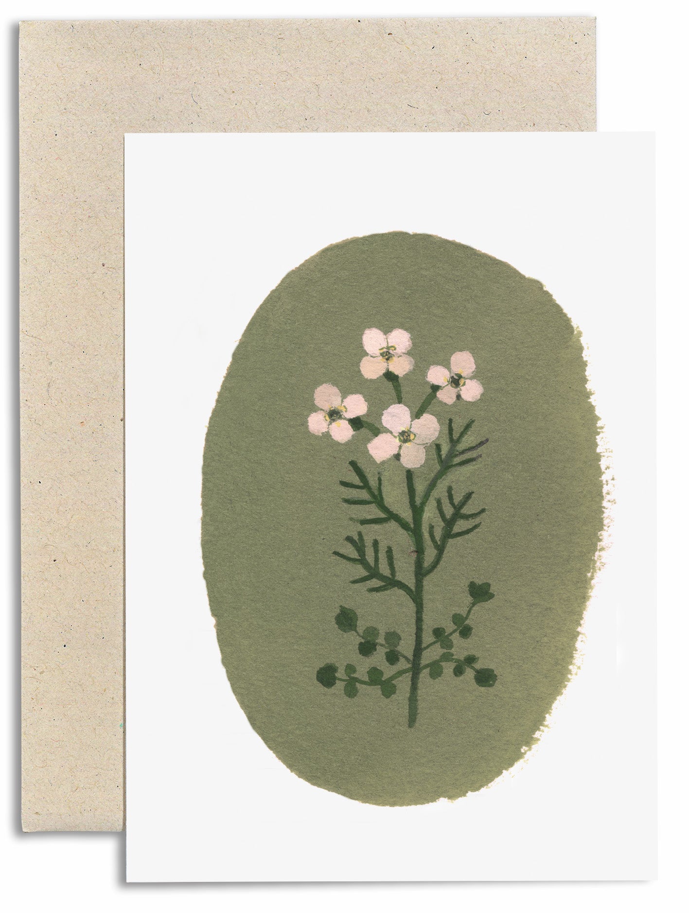 Cuckoo Flower Card