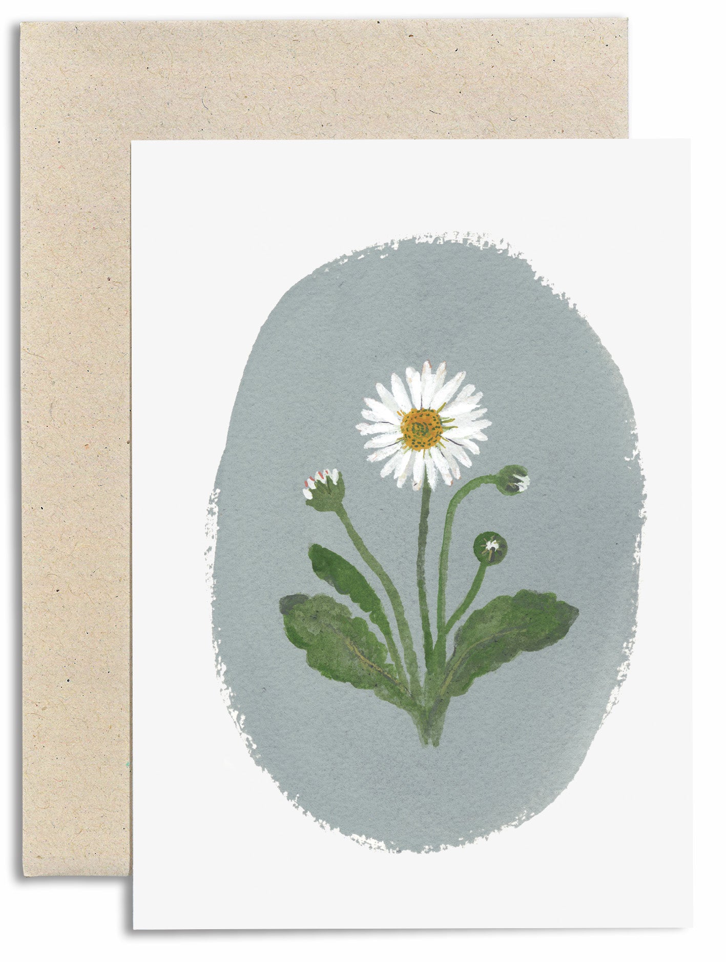 Daisy Card