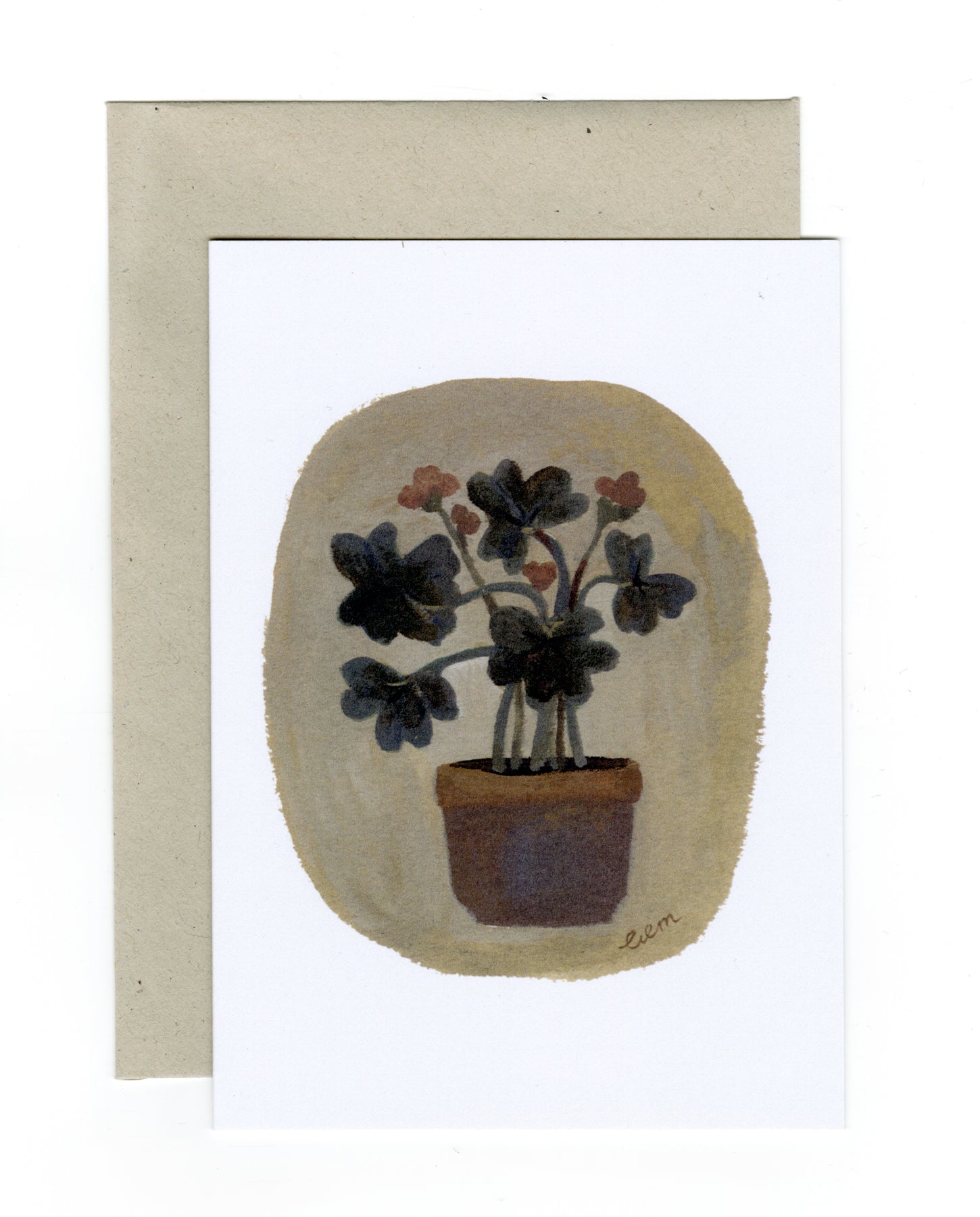 Pelargonium a6 card