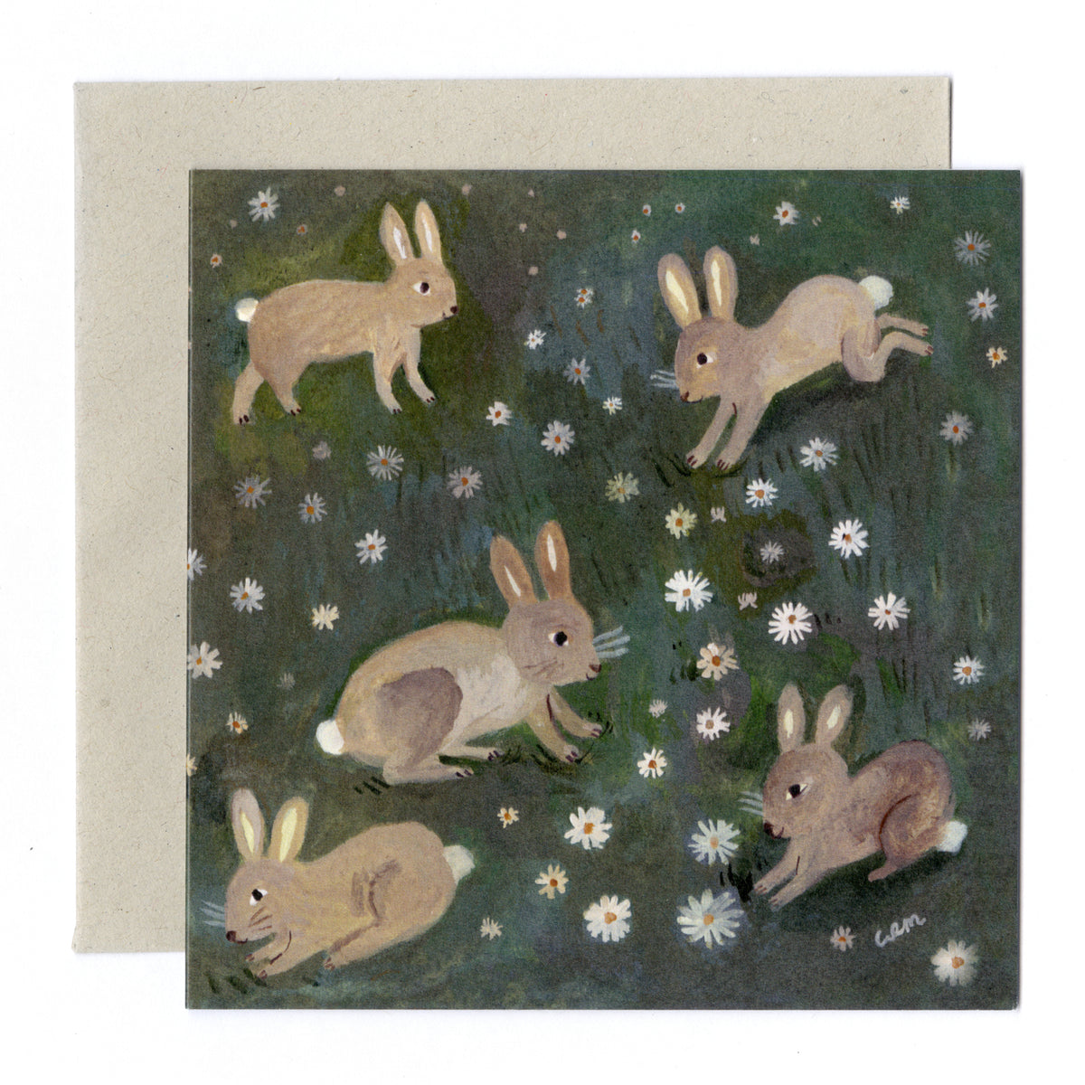 Animal Rabbit Cards Rabbits card