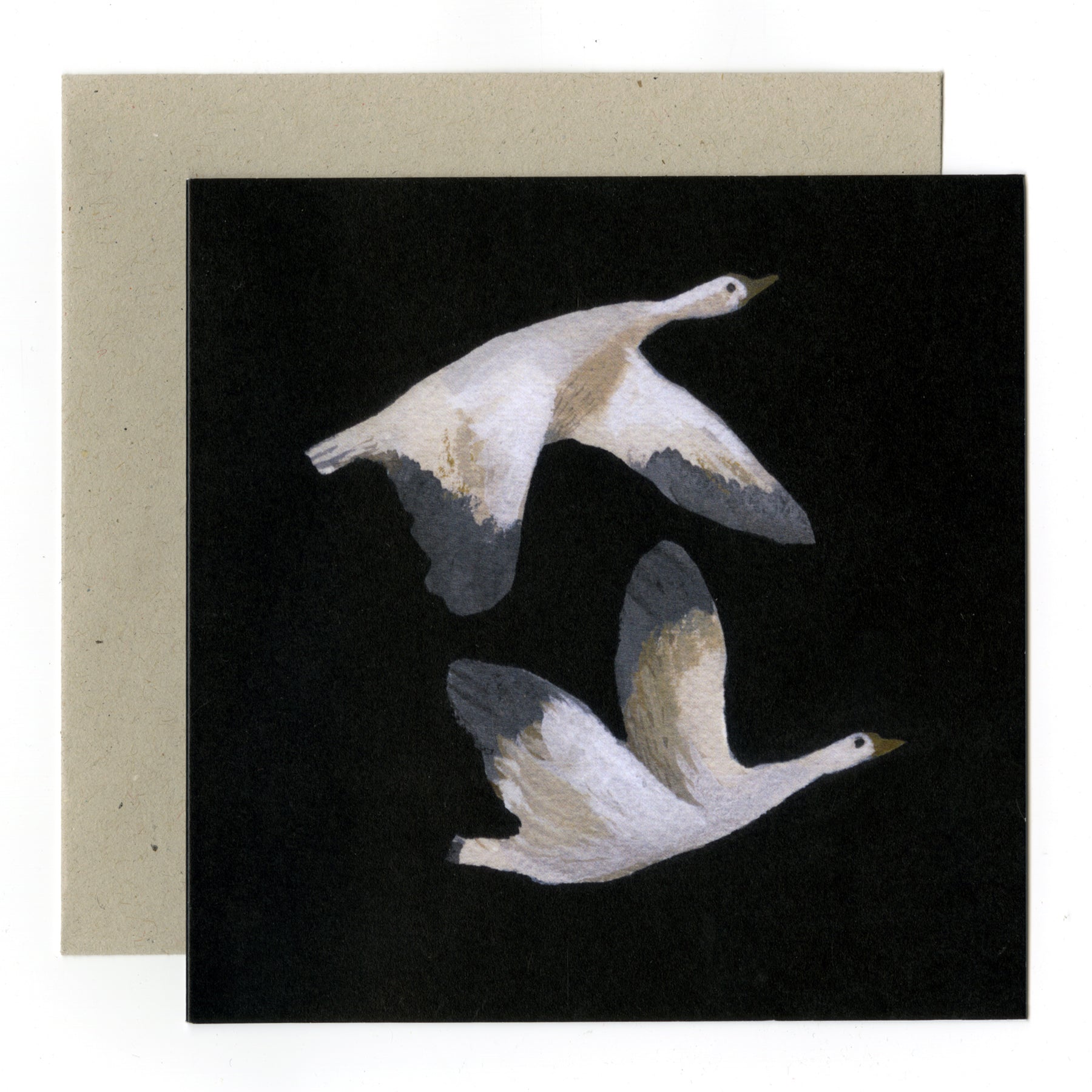 Snow Geese card